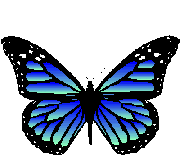 papillon-gif-019