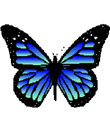 papillon gif 041